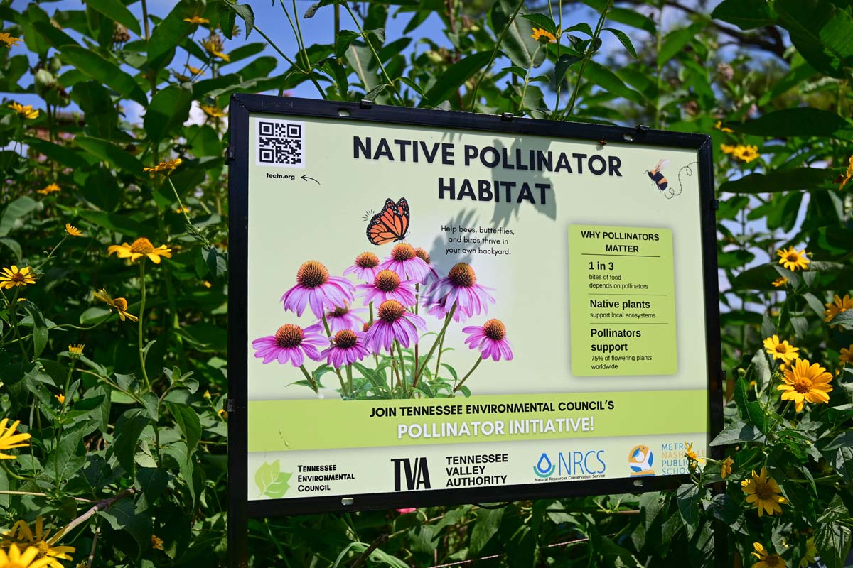 A sign marks a pollinator habitat.