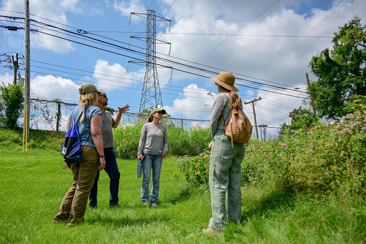 Volunteers stand among flowers under a transmission tower.