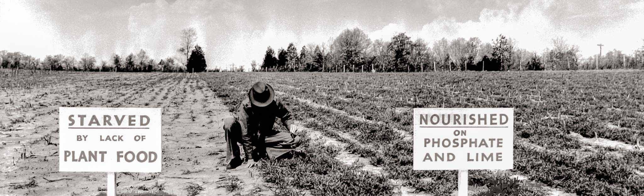 Man working in a field.