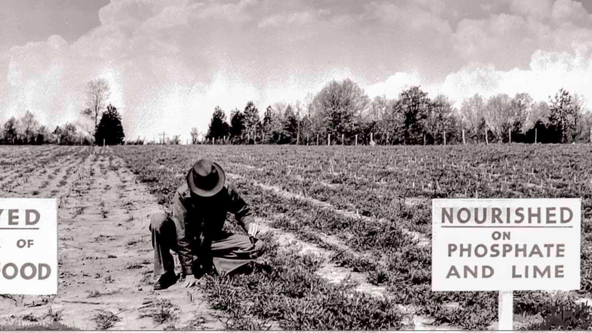 Man working in the field.