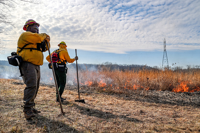 TVA fire crew members Kelvin Young and Drew Lyles monitor a field during a prescribed burn