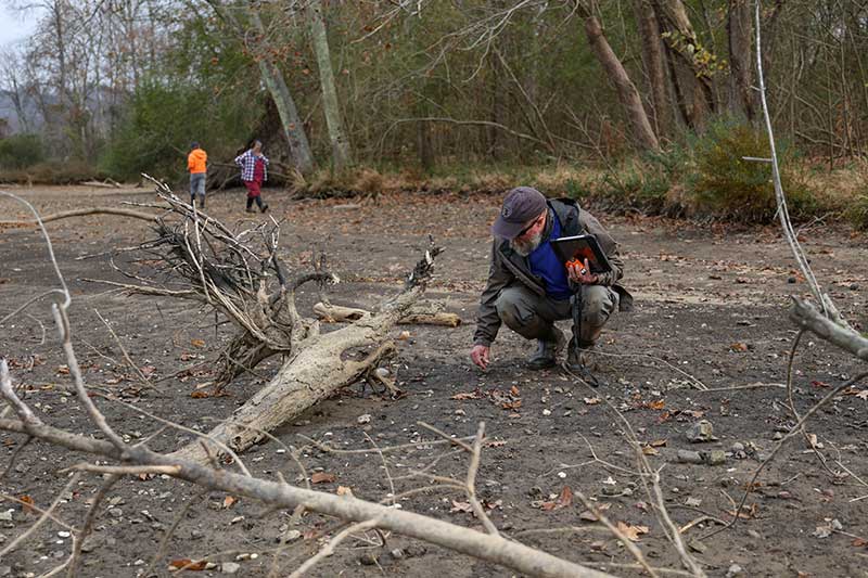 Person kneeling by fallen tree
