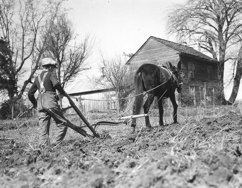 Before the Depression