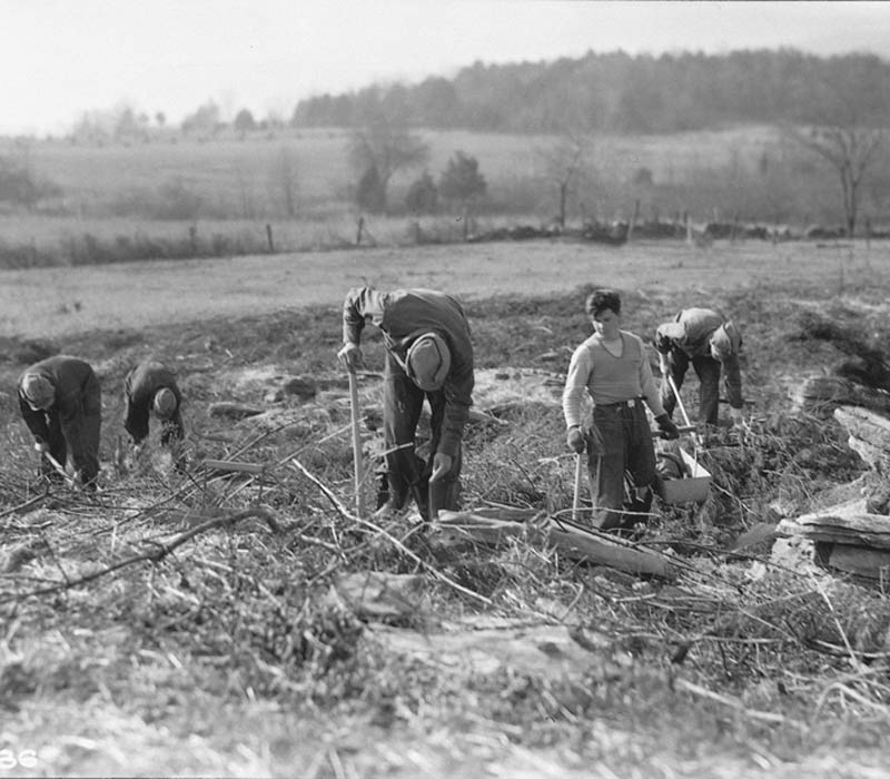 Black and white photo of a group of people working in a field