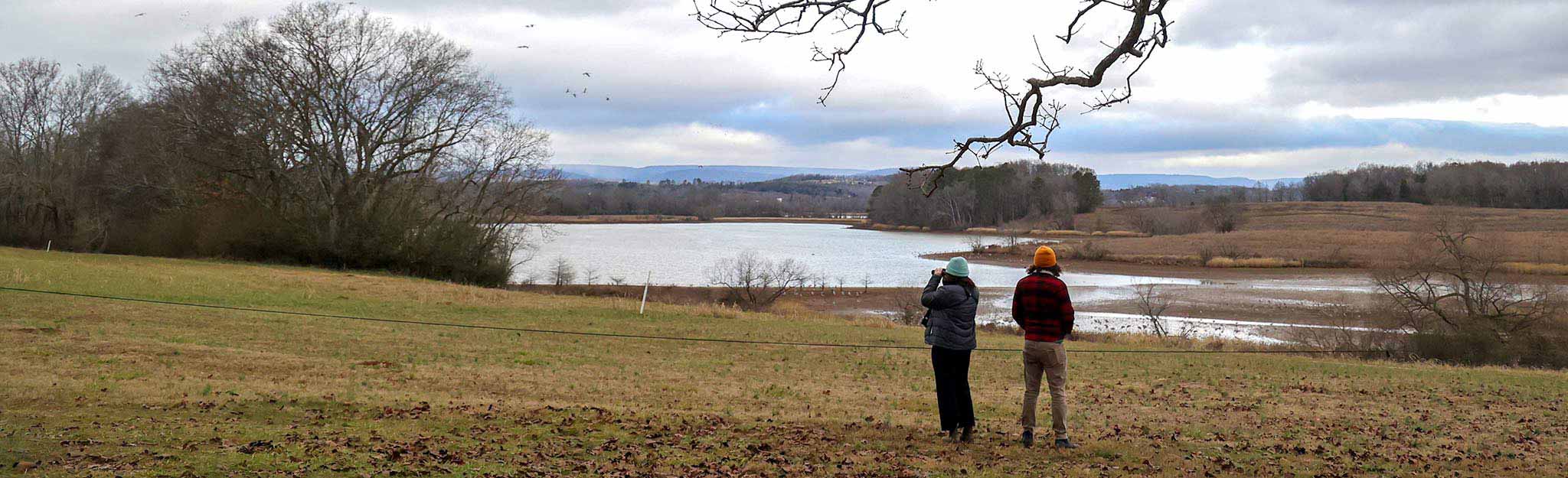 Birdwatchers view sandhill cranes at Hiwassee Wildlife Refuge