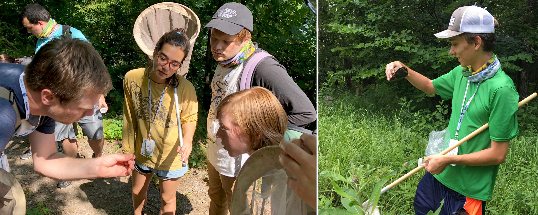 BioBlitz collage of kids