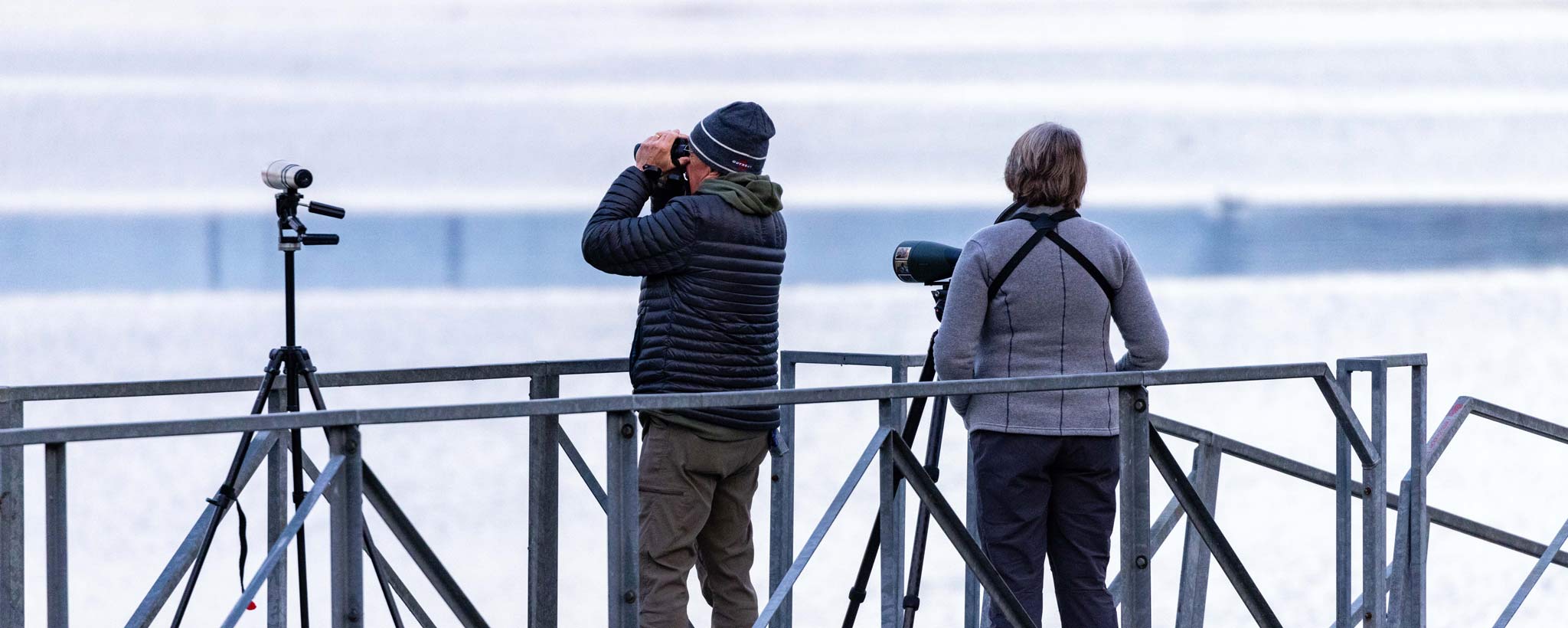 Birdwatching Birdwatchers peer through binoculars to glimpse birds near Chickamauga Dam