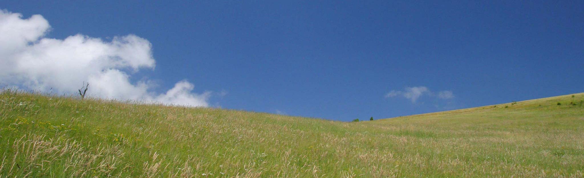 Green hill and blue sky with clouds