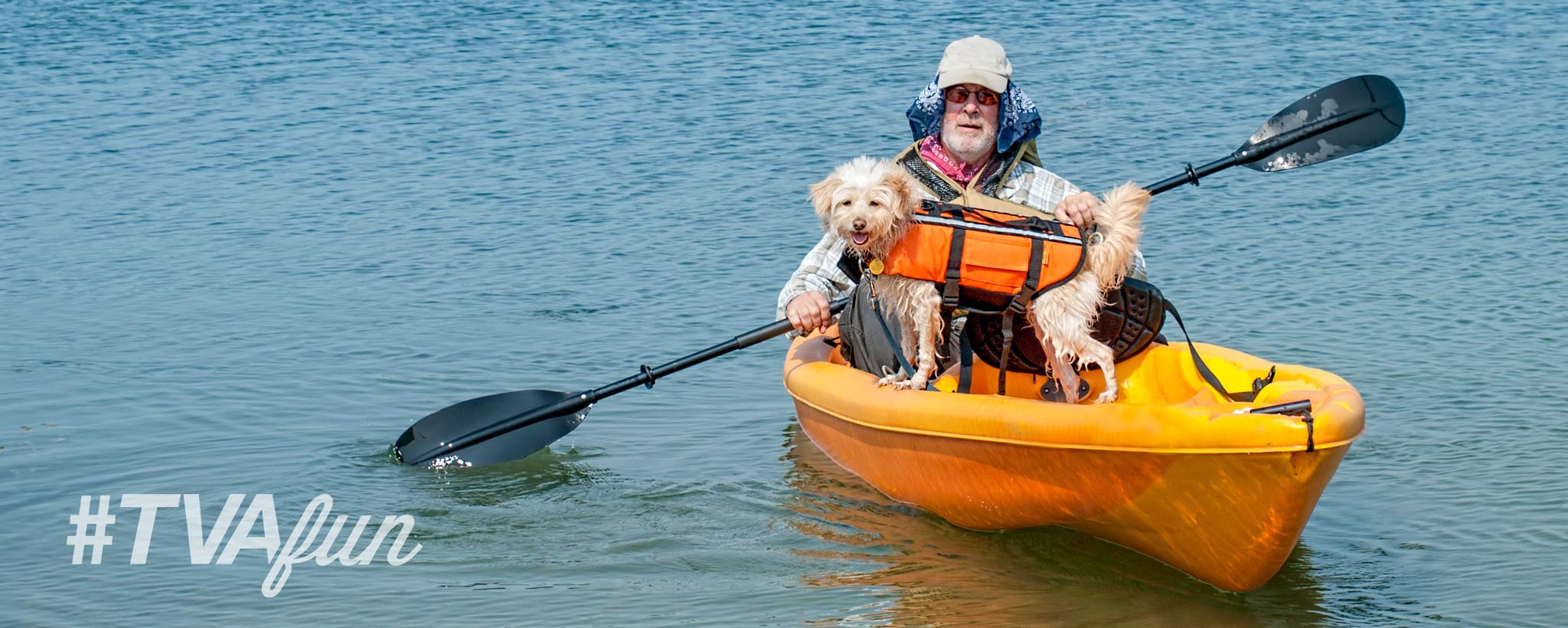 dog-paddle-hero-iStock_27367957_LARGE Doggy Paddling