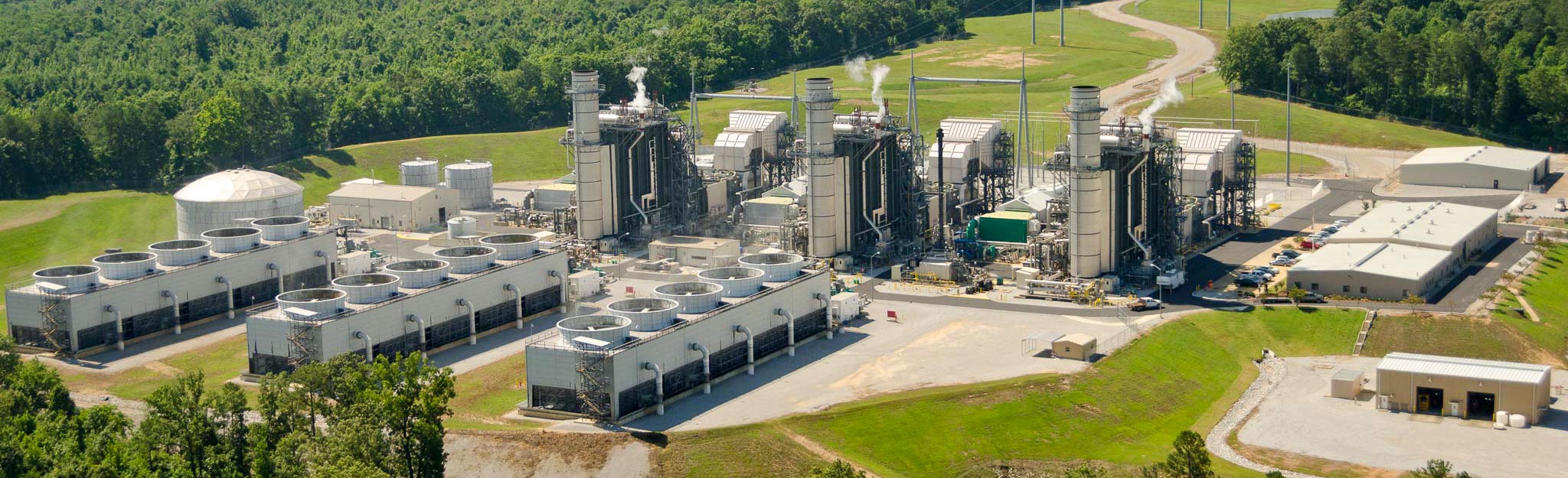 aerial view of plant