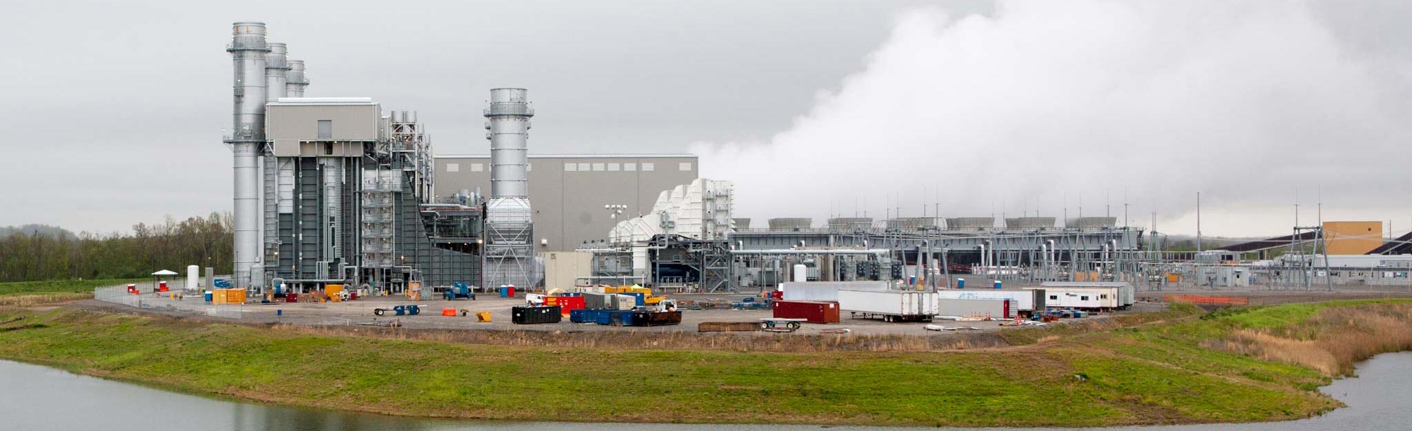 ground view of plant