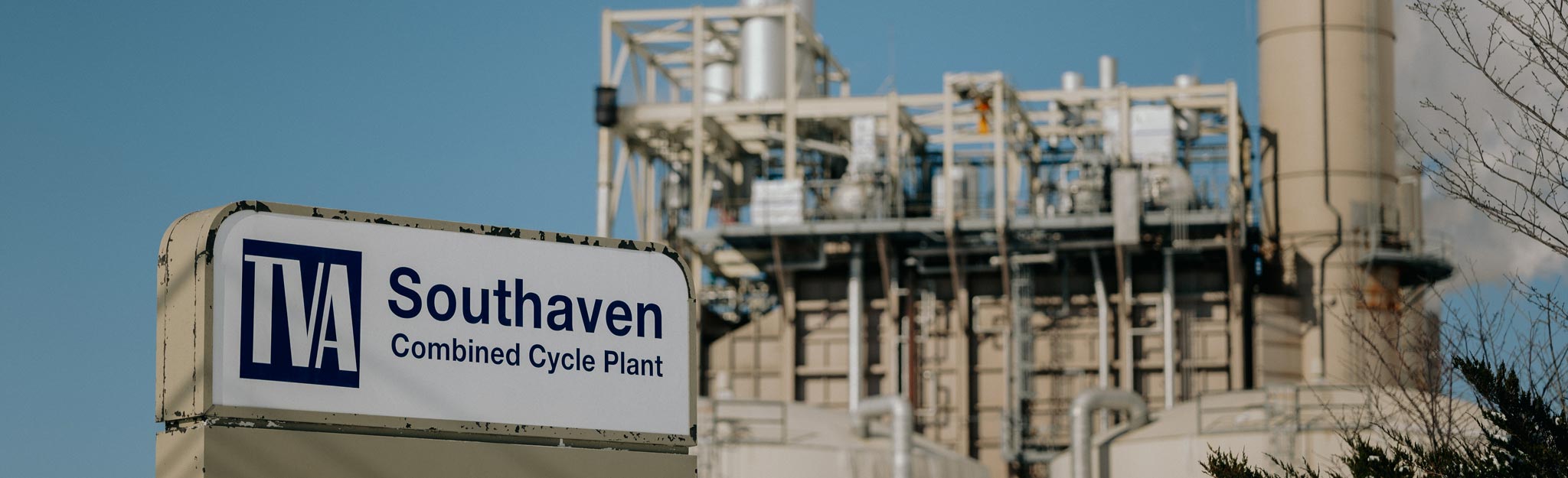 ground view of plant with sign