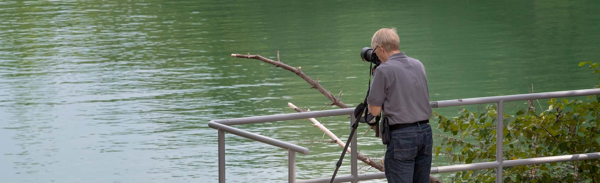 bird photographer