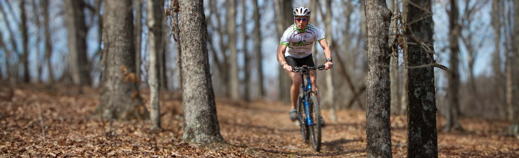 Mountain biker on trail