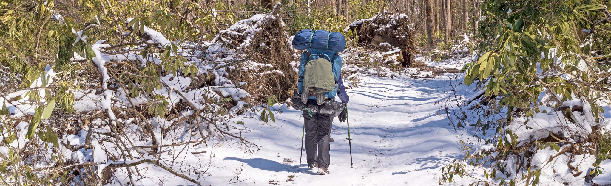 hiker on snowy trail