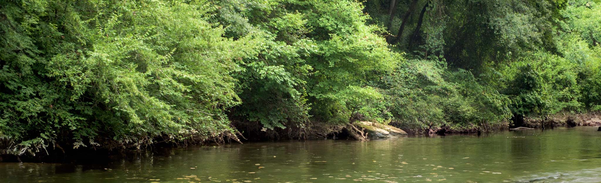 river shoreline