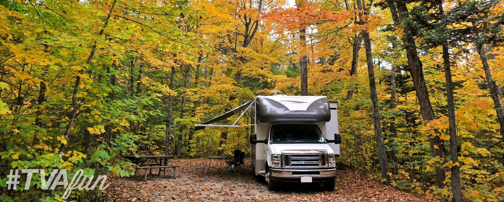 RV in a camping ground
