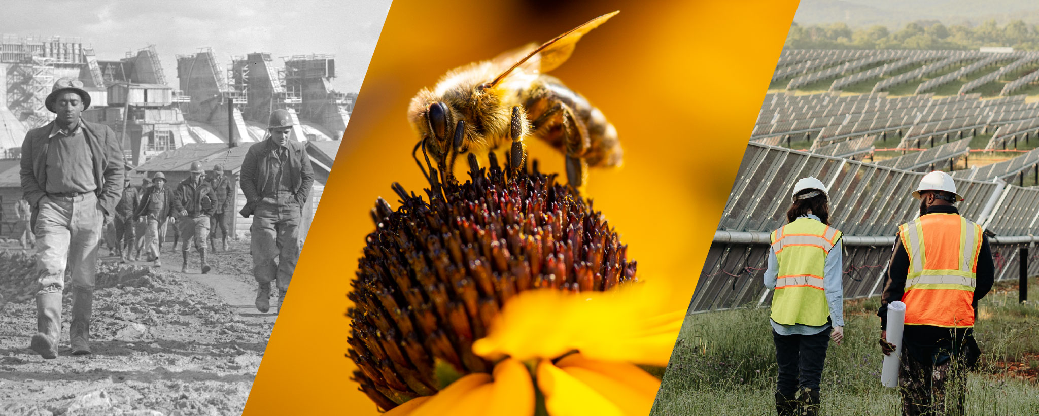 FY22 Sustainability Report hero FY22 Sustainability Report collage