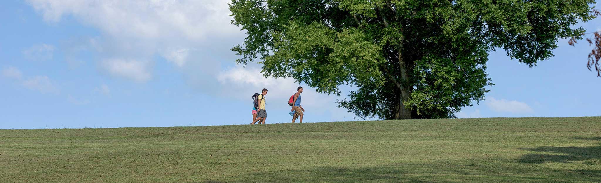 Hikers Hikers