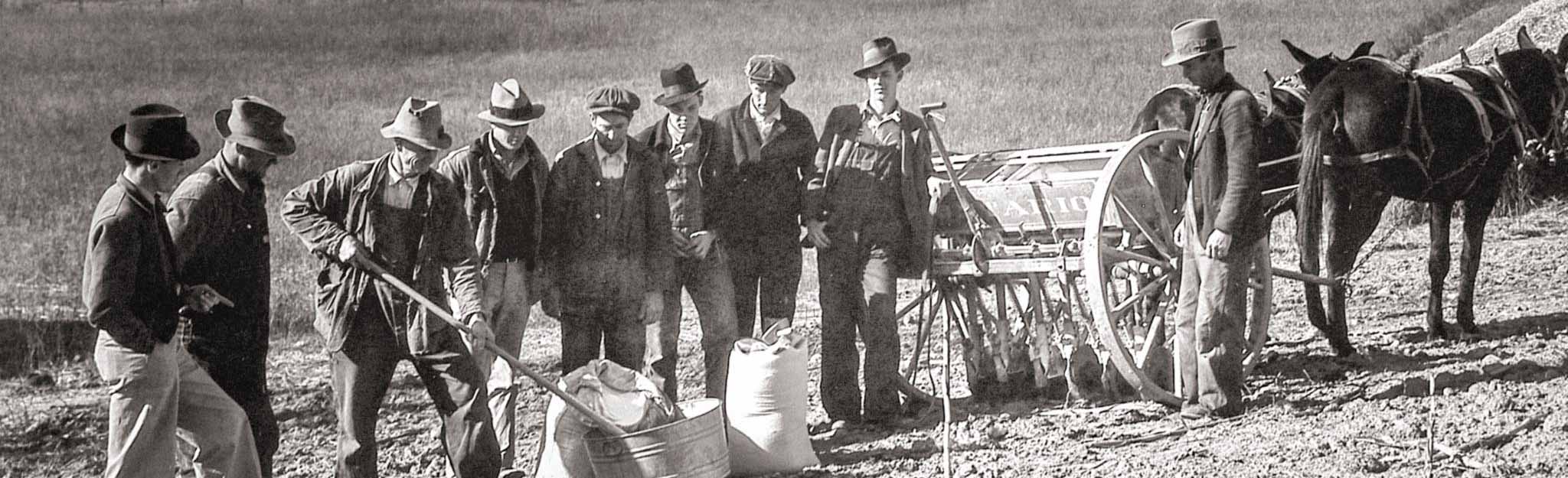Farmers in field