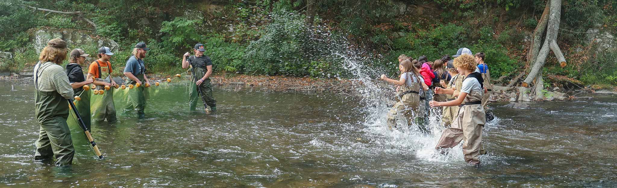 Students help herd fish into seine net on the Pigeon River in North Carolina.