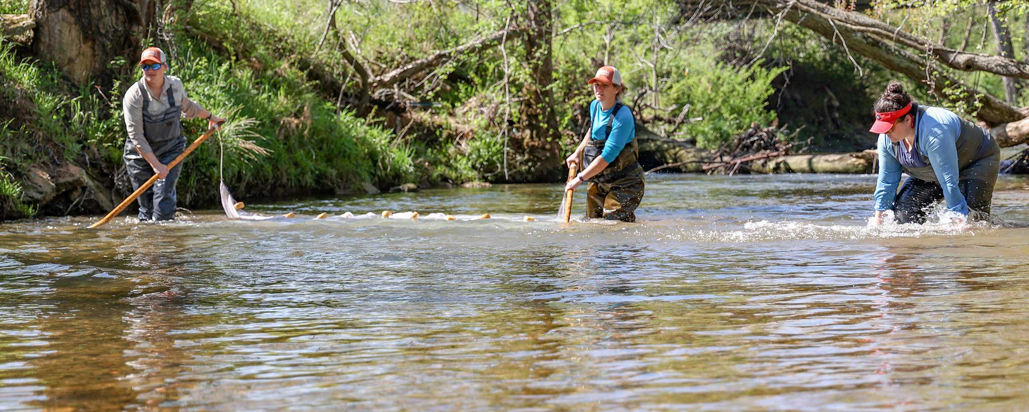People standing in river with large net People standing in river with large net.