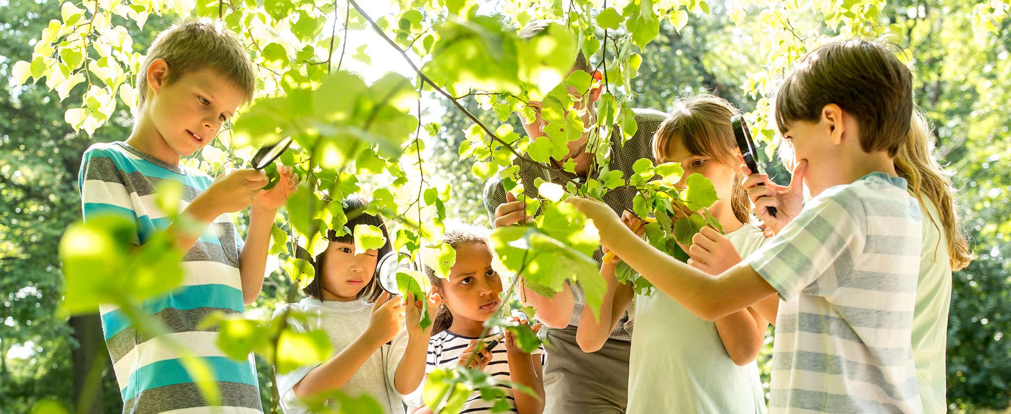 hero_protectingwildlifehabitats Bunch of children looking leaves through magnifying glasses.