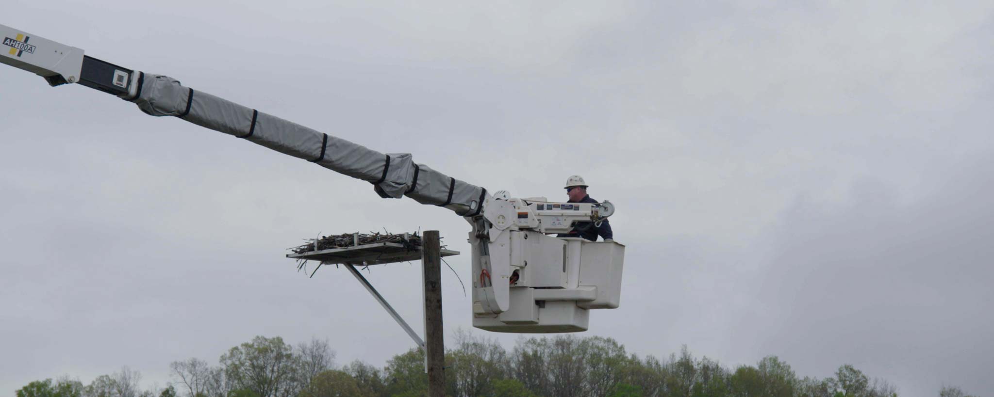 Lineman in a bucket catching osprey