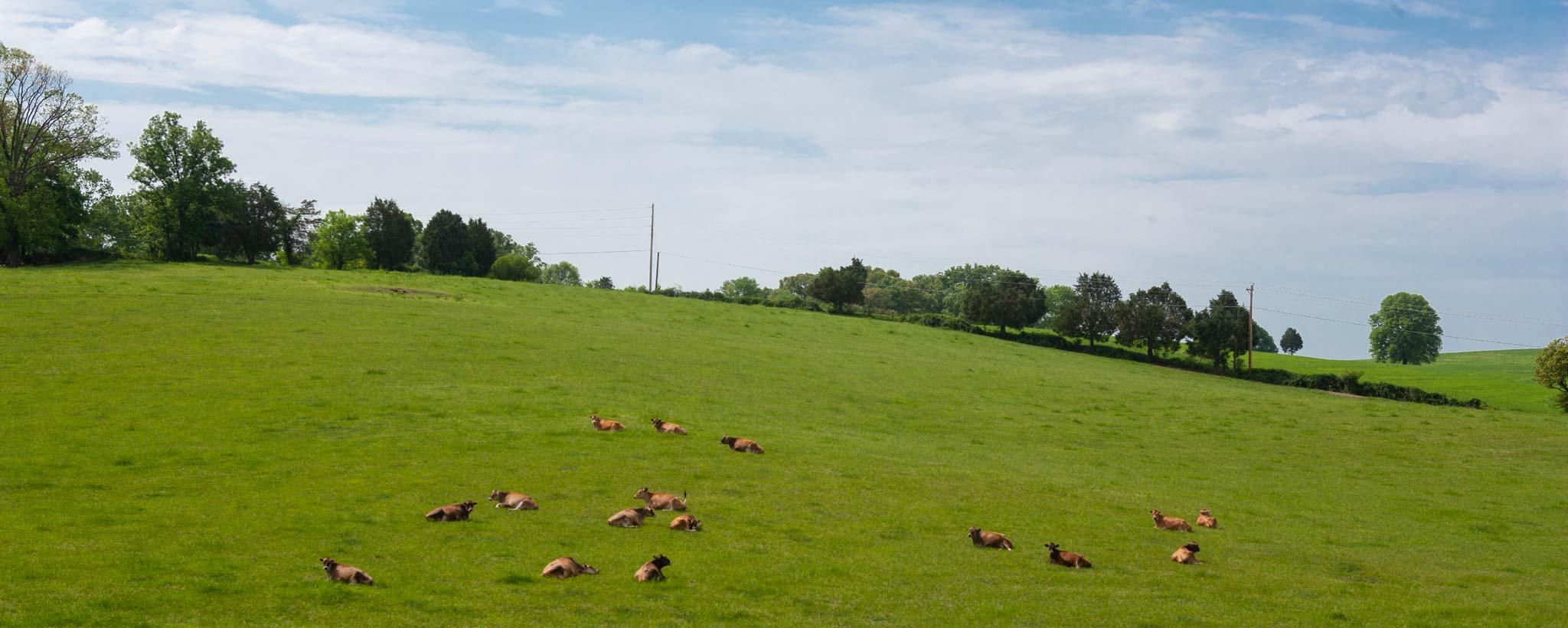Rural Landscape in Tennessee Rural Landscape in Tennessee