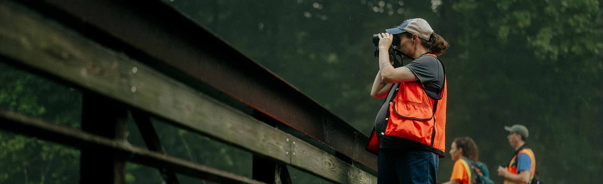 TVA terrestrial zoologist Sara McLaughlin-Johnson