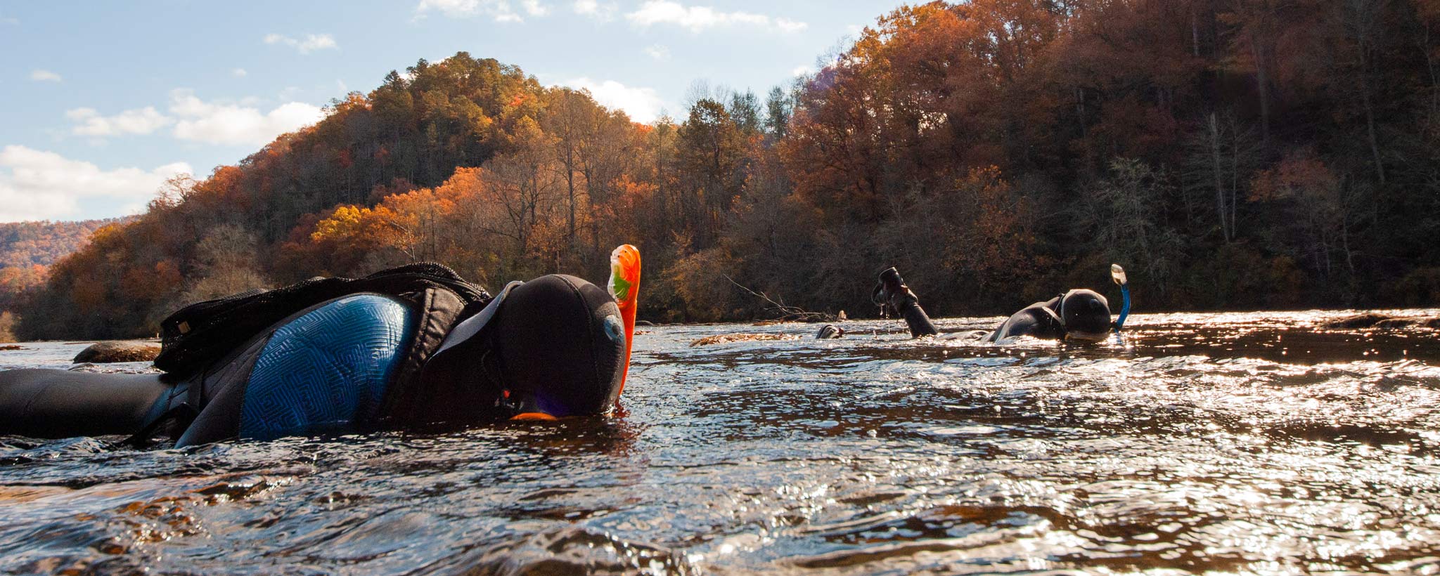 TVA Biologists Biologists in the Tuckasegee River looking for mussels