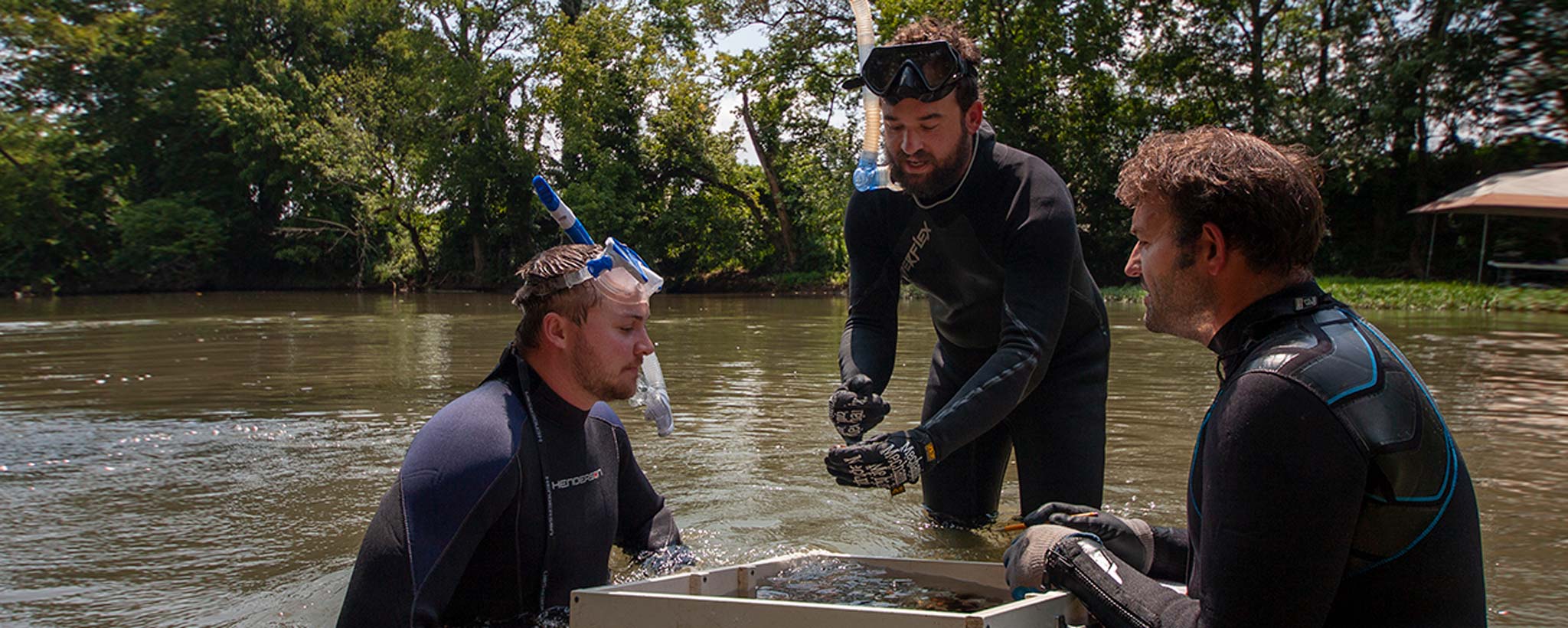 Biologist Todd Amacker identifies a freshwater mussel Todd Amacker, TVA biologist and his team