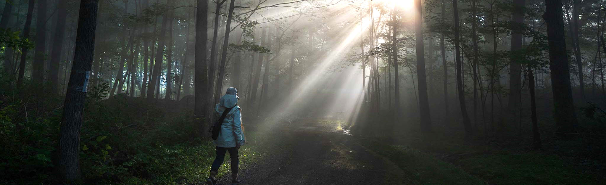 A hiker on one of TVA's network of trails. TVA has more than 190 miles of public trails.