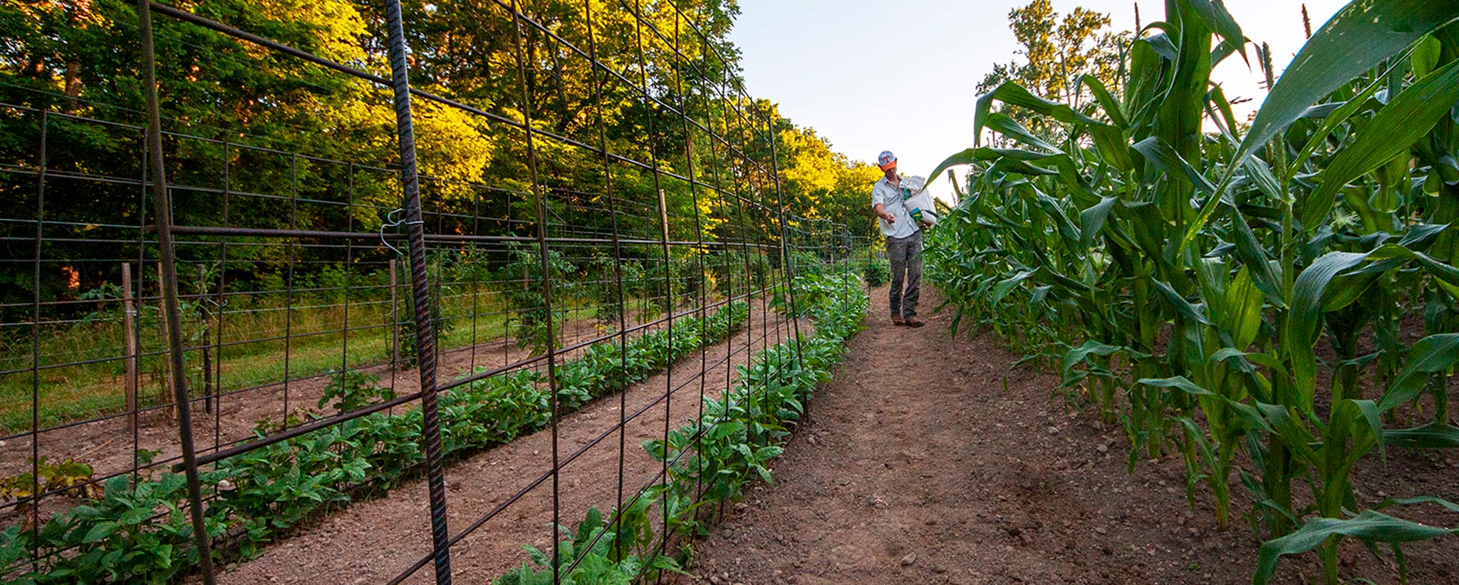 Victory_Garden_Web-hero