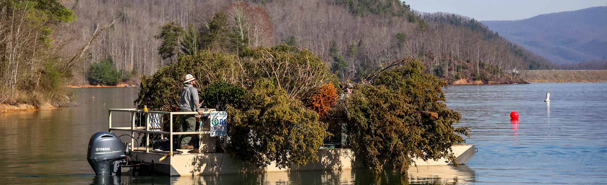 Boat loaded with cut trees heads out to Watauga Reservoir. Trees are submerged in the water to provide habitat for the many fish that live in the lake.