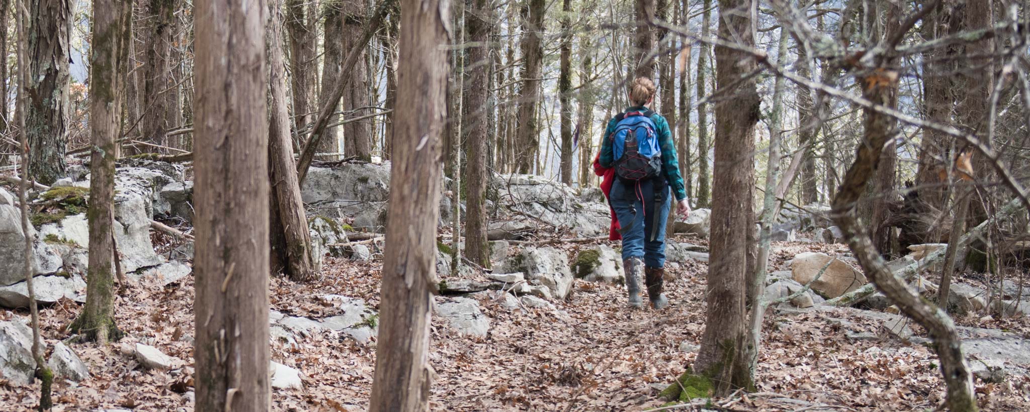 Winter Hike