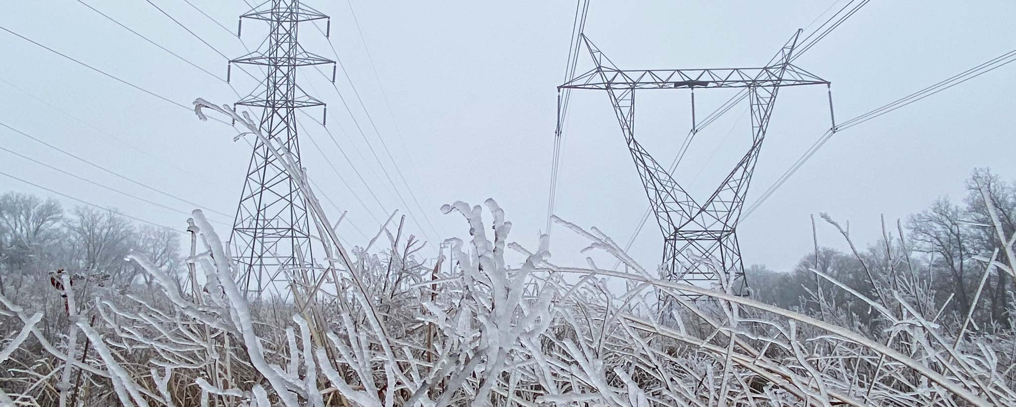 Powerlines and frost