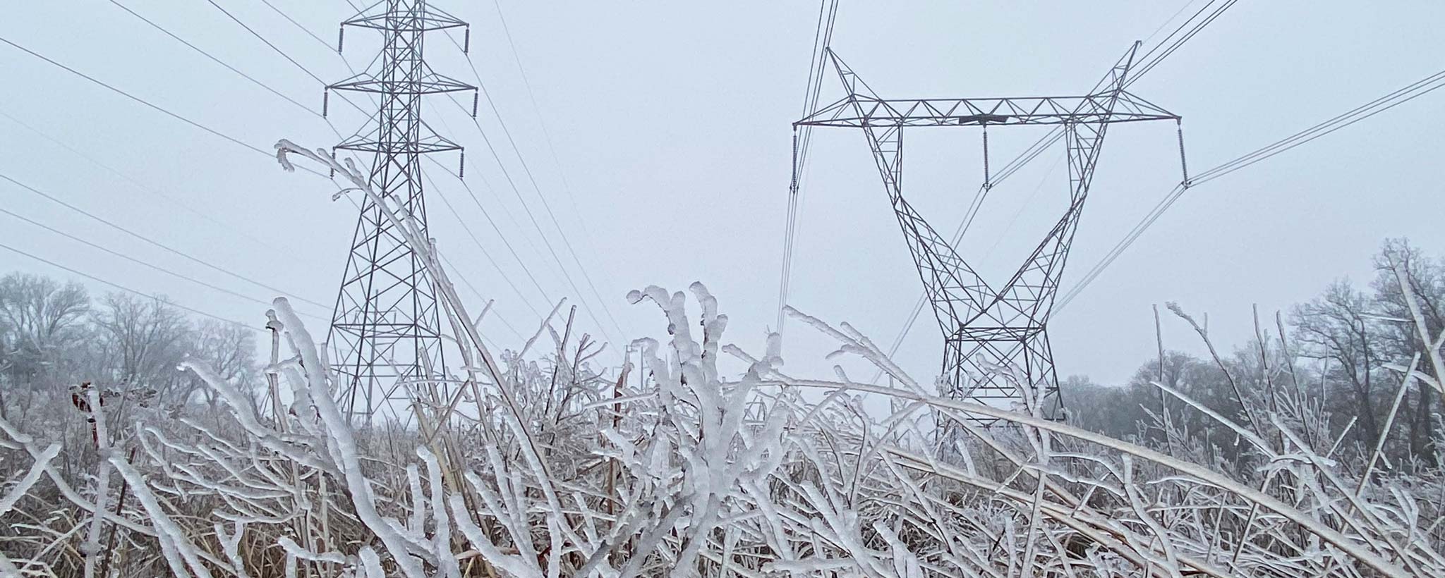 Powerlines and frost Powerlines and frost