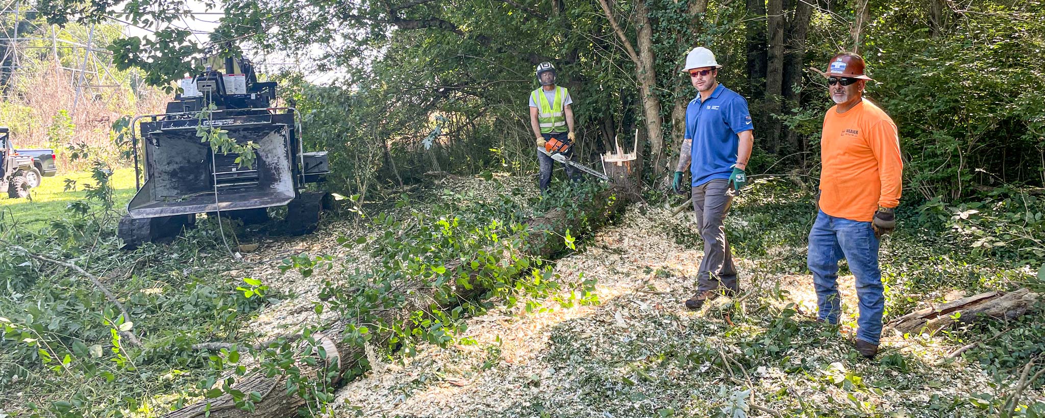 workers clearing a tree in a right-of-way area TVA’s Matt Townsend interacts with workers as they clear a tree in a right-of-way area