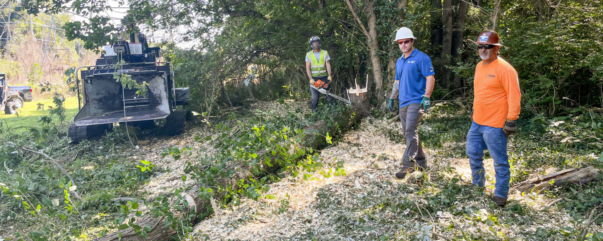 workers clearing-a tree in a right-of-way area TVA’s Matt Townsend interacts with workers as they clear a tree in a right-of-way area