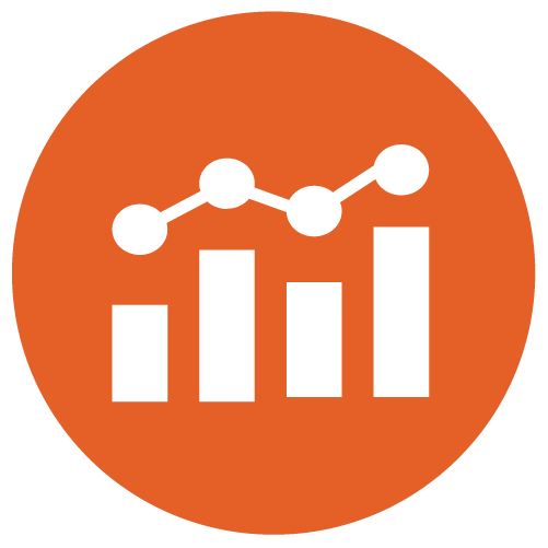 portfolio icon