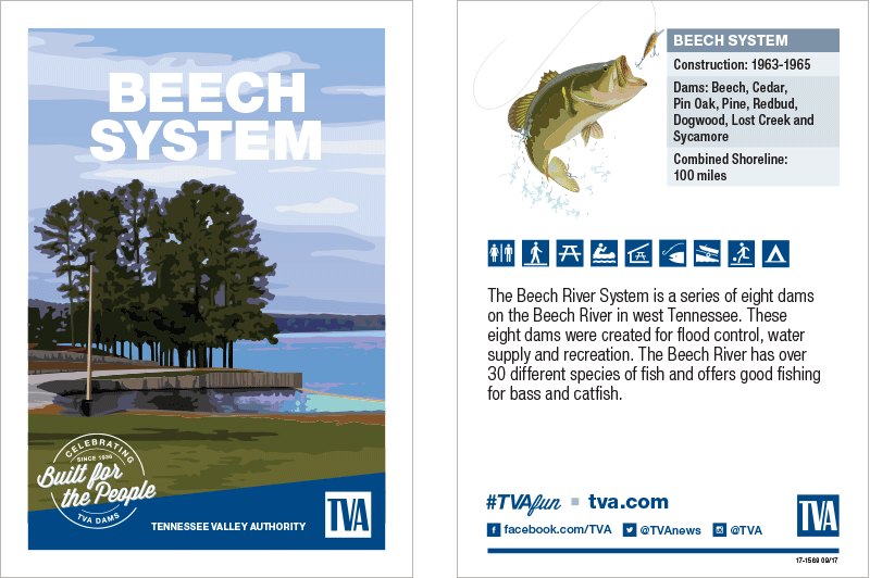 Beech System Beech System