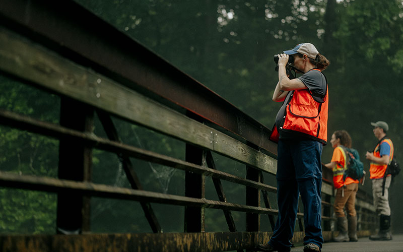 Zoologist Sara McLaughlin-Johnson uses binoculars to spot winged wildlife