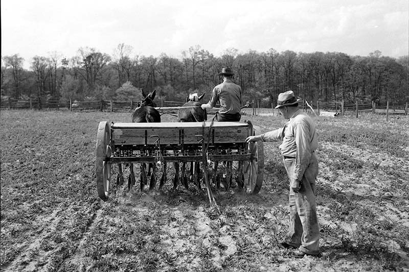 Farmers spread fertilizer at a test farm near Knoxville in 1937.