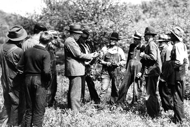Farmers learn about the benefits of clover in April 1937.