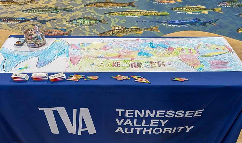Visitors to Bassmaster Classic 2026 expo created a colorful lake sturgeon