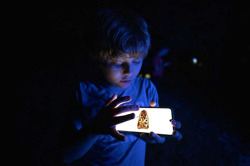 During a BioBlitz, people of all ages learn about local animals and plants while contributing to science.