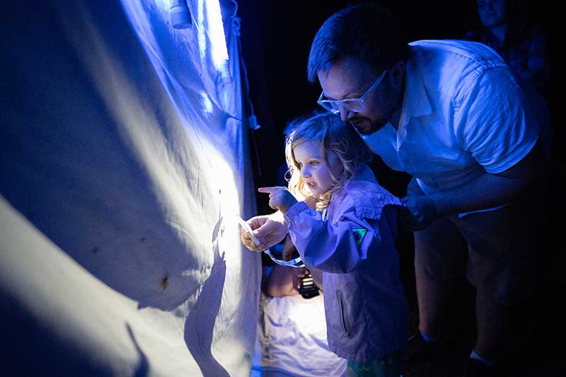 Black lights helped volunteers monitor insect populations.