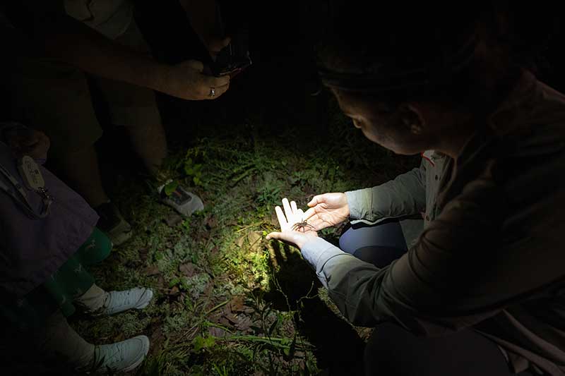 Volunteers explored species found along the Worthington Cemetery Trail at Melton Hill Reservoir.