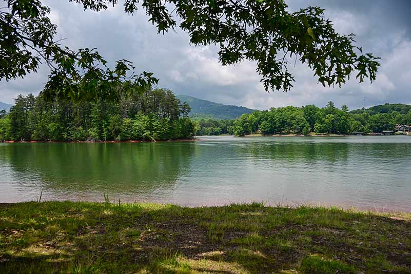 The shoreline stabilization partnership included Georgia Department of Natural Resources' Brylie Warner, Josh Stafford and Aaron Duclar, as well as TVA's Shannon O'Quinn and John Justice. They planted water willow and buttonbush at Chatuge Reservoir.